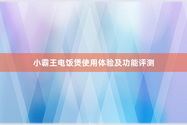 小霸王电饭煲使用体验及功能评测